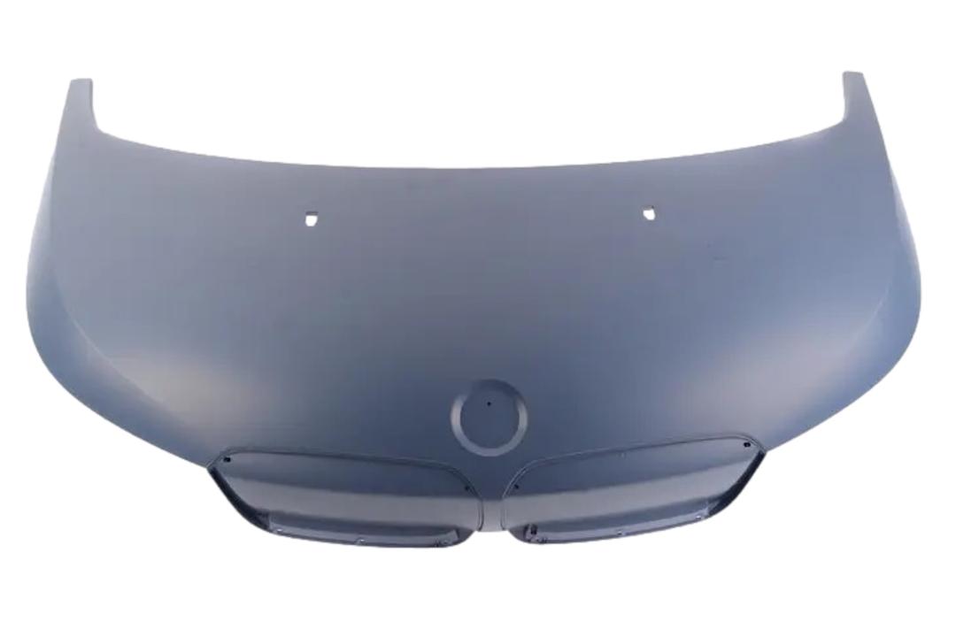 2018-2021 BMW i3s Hood Painted_5123737589