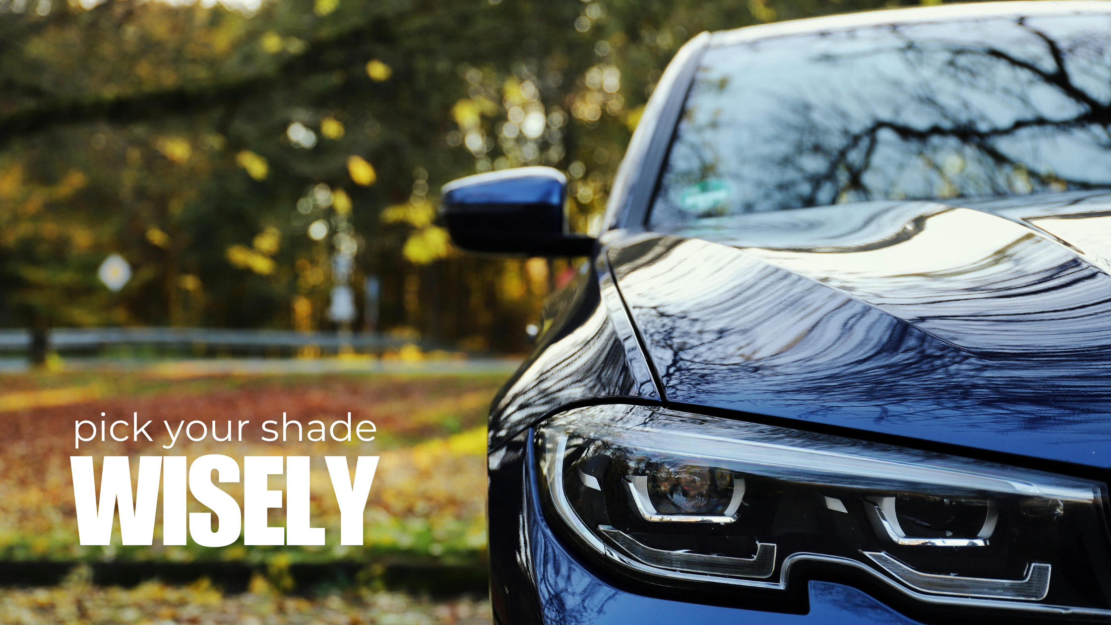 What Causes Paint to Fade (and How You Can Prevent It)