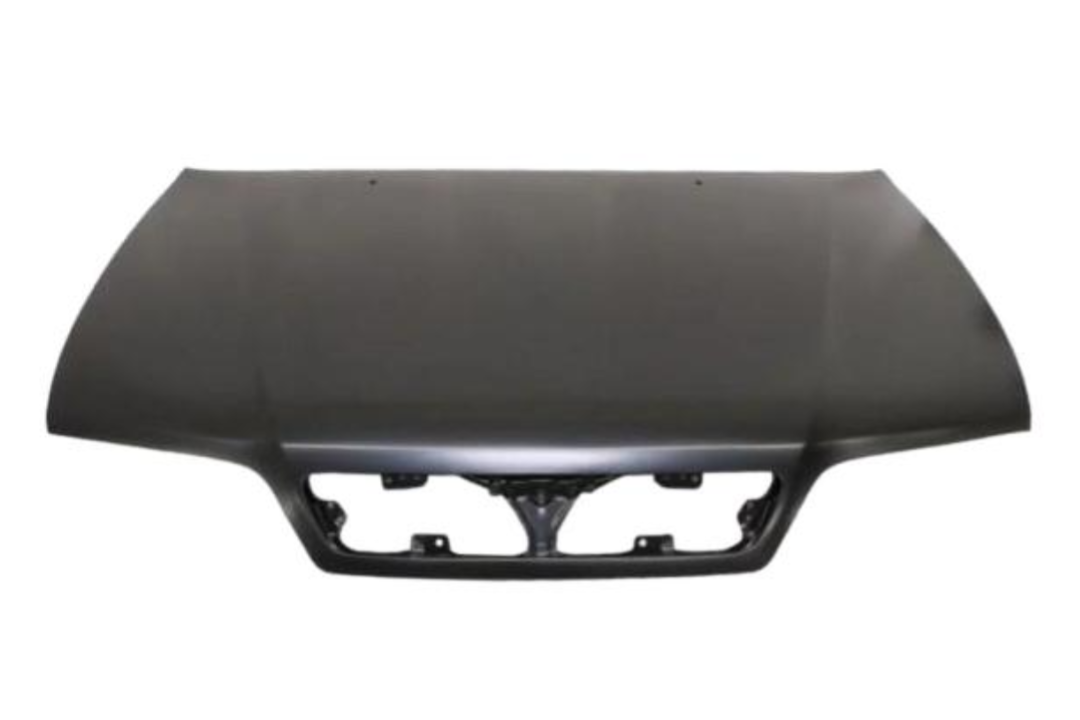 2000-2002 Infiniti G20 Hood Painted F51007J2AM