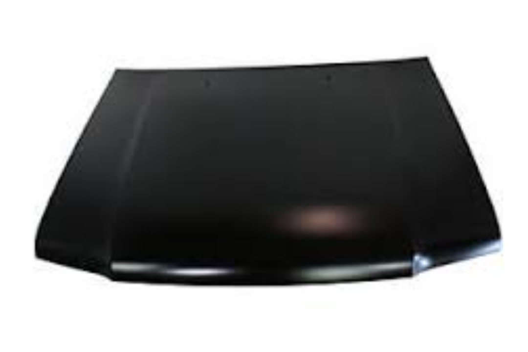2000-2003 Infiniti QX4 Hood Painted F51001W3CM