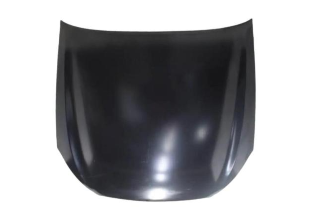 2002-2004 Infiniti Q45 Hood Painted F5100AR2MM