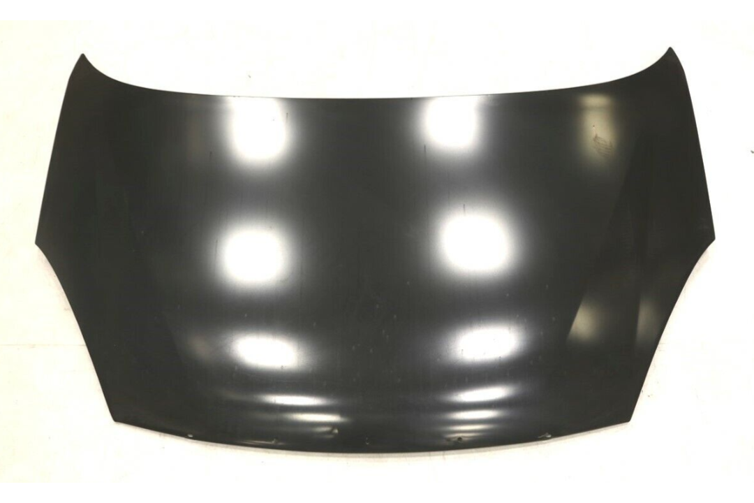 2002-2007 Buick Rendezvous Hood Painted 10422404 GM1230288