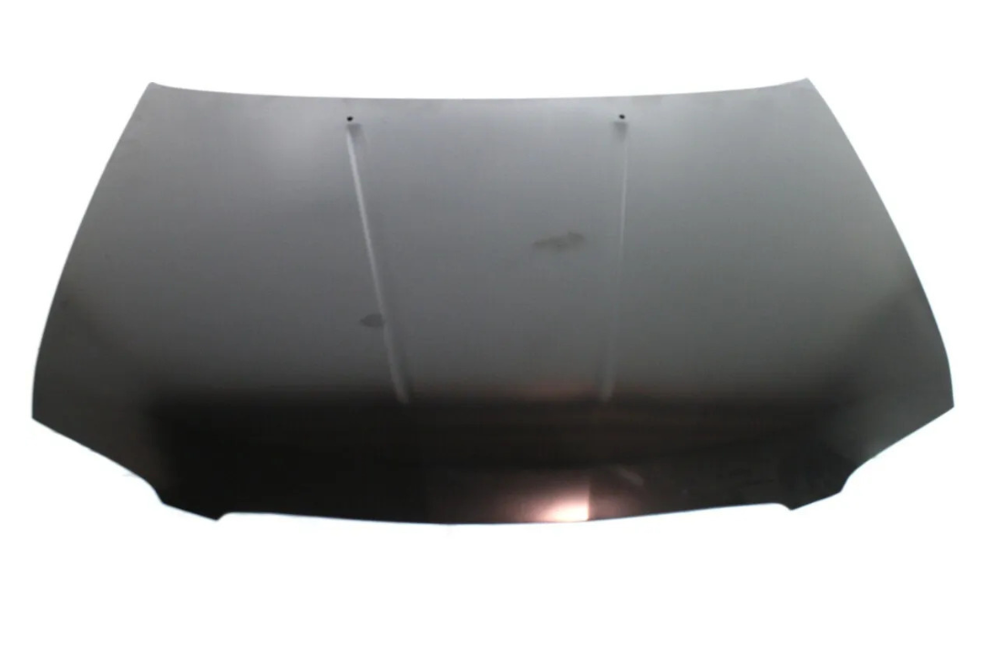 2004-2006 Nissan Sentra Hood Painted F51006Z530 NI1230165