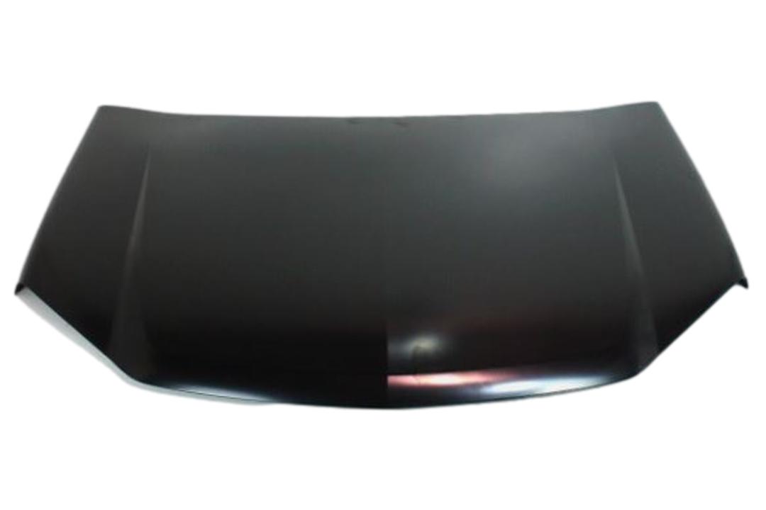 2009 Chevrolet Equinox Hood Painted 19120478 GM1230329