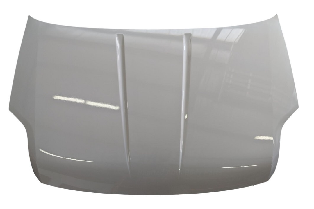 2007-2012 Nissan Sentra Hood Painted Visual Pear (QAC) 65100ET030 NI230172