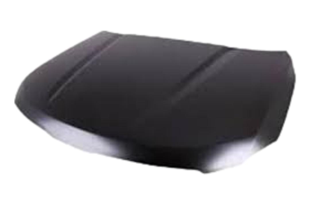 2020-2025 Kia Telluride : Hood Painted