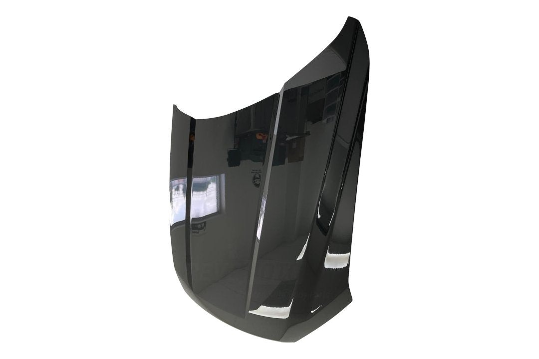 Painted Hood for 2015-2020 Ford F150 Real Steel (TB) FL3Z16612A FO1230307 ReveMoto Painted Auto Body Parts Replacement