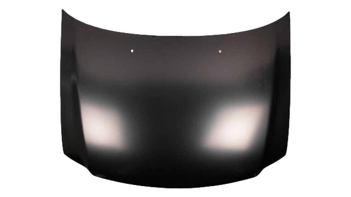 2000-2002 Ford Expedition Hood Painted Steel F65Z16612AL FO1230170