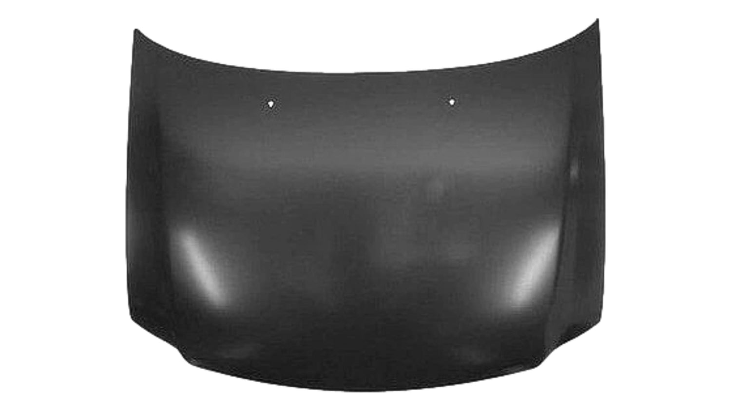 2000-2002 Ford Expedition Hood Painted Aluminum F65Z16612AL FO1230174