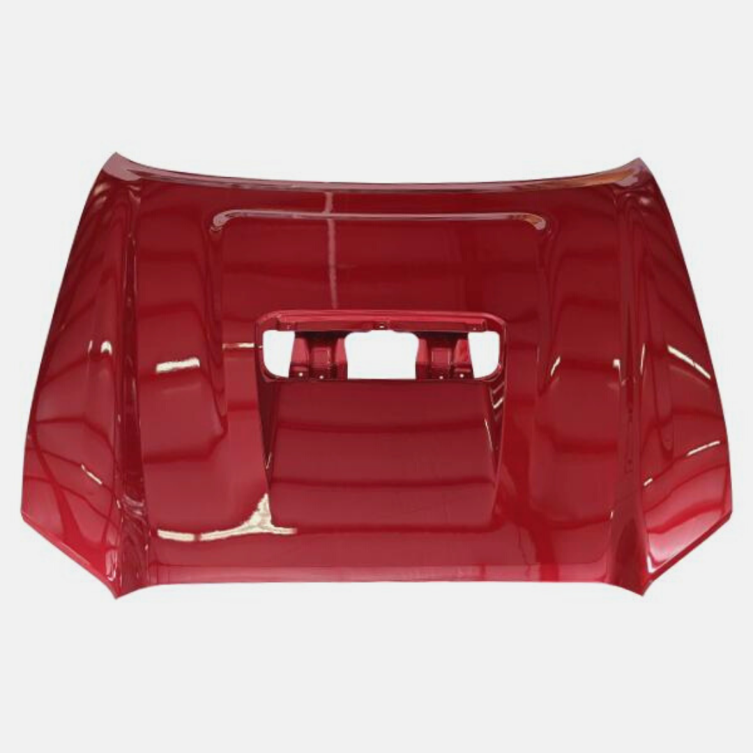 Painted Hoods - ReveMoto Painted Auto Body Parts