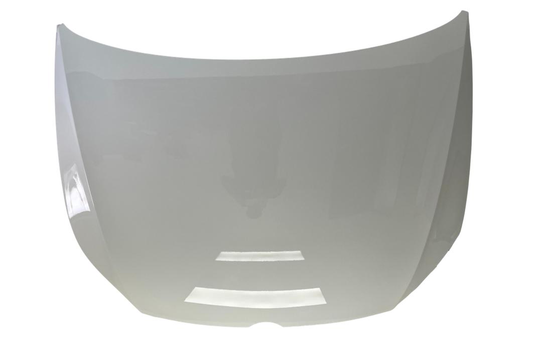 2015-2019 Volkswagen E-Golf Hood Painted (OEM)