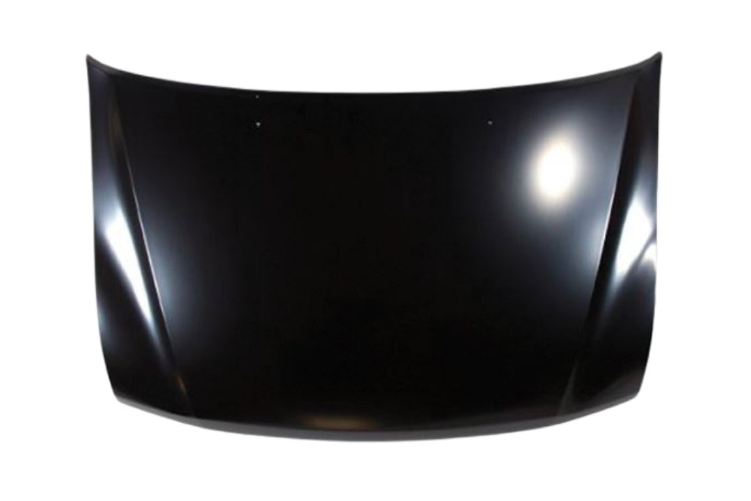 2006 Mitsubishi Montero Hood Painted