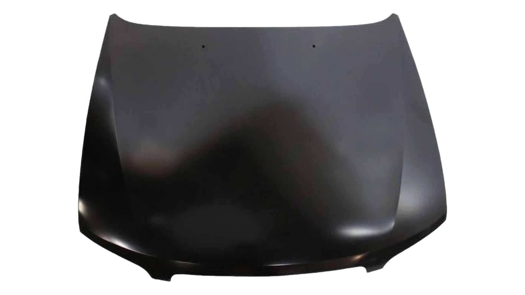 2000-2001 Nissan Altima Hood Painted F51009E030 NI1230151