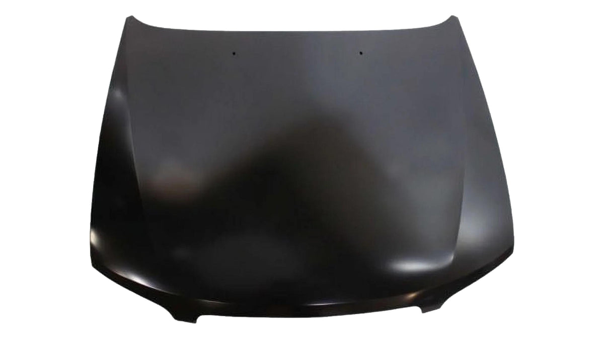 2000-2001 Nissan Altima Hood Painted F51009E030 NI1230151