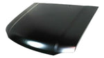 2001-2004 Nissan Frontier Hood Painted NI1230156