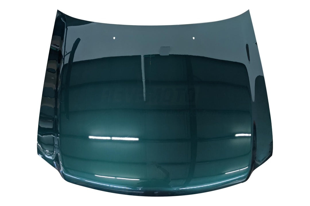 7263 - Painted Hood for 2000-2004 Ford F150 Amazon Green Metallic (SU) FO1230174 ReveMoto Painted Auto Body Parts Replacement