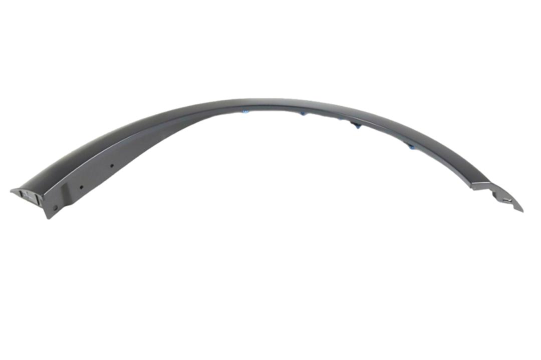 2020-2023 Dodge Charger Front Fender Flare Painted (OEM Only)_Right, Passenger-Side_ 6TN40TZZAE