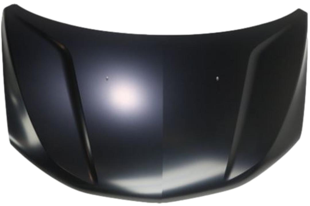 2017-2020 Chevrolet Sonic Hood Painted 42334844_GM1230450