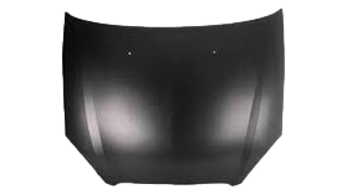 2000-2007 Ford Taurus Hood Painted YF1Z16612AA FO1230189