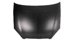 2000-2007 Ford Taurus Hood Painted YF1Z16612AA FO1230189