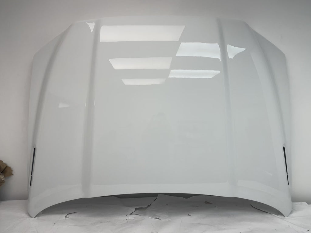 25924 - 2019-2022 Dodge Ram 2500 OEM Hood Painted Bright White (PW7) 68360786AE