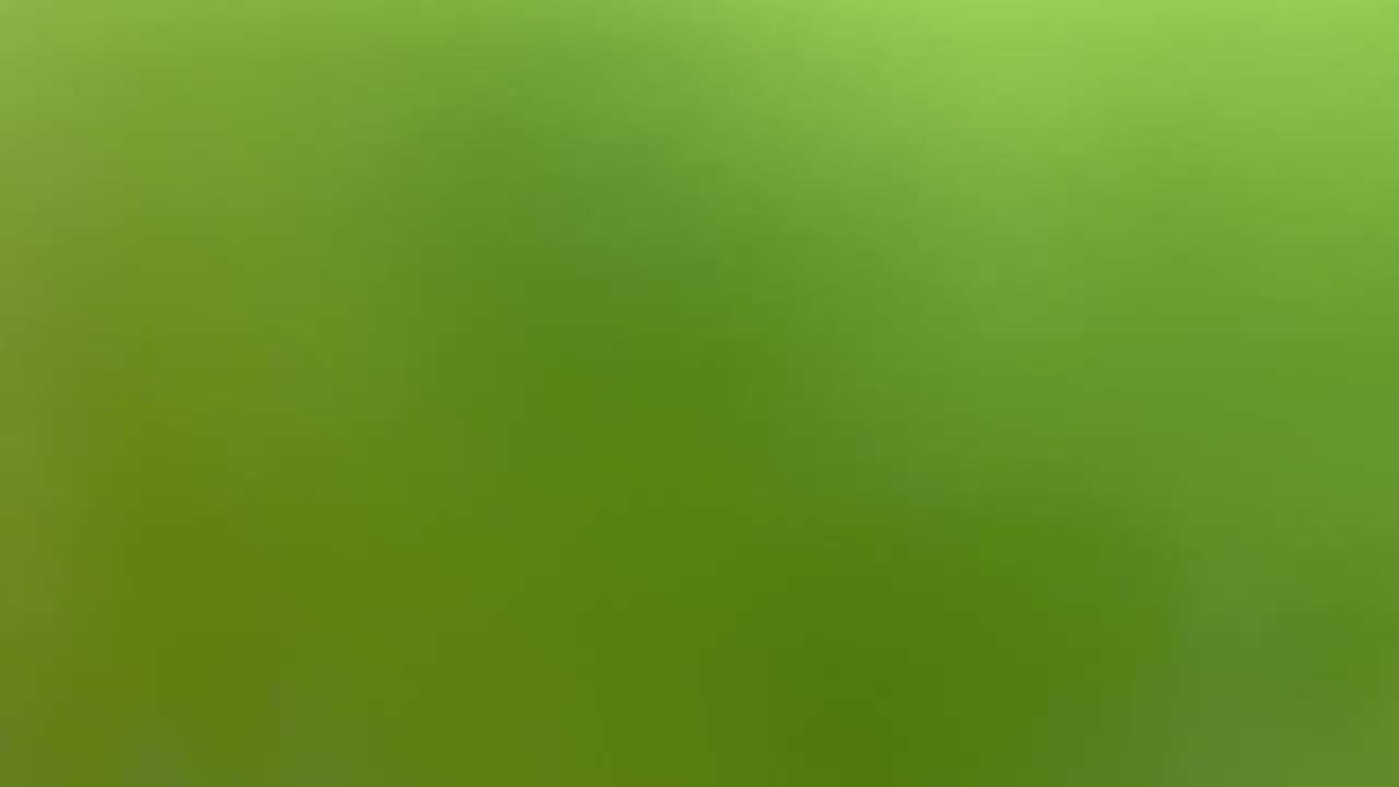 2016-2024 Toyota Tacoma Painted Hood Conversion (TRD Hood Conversion) Electric Lime Effect (588) ReveMoto Painted Auto Parts Replacement