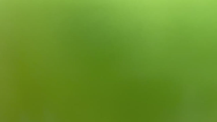 2016-2024 Toyota Tacoma Painted Hood Conversion (TRD Hood Conversion) Electric Lime Effect (588) ReveMoto Painted Auto Parts Replacement