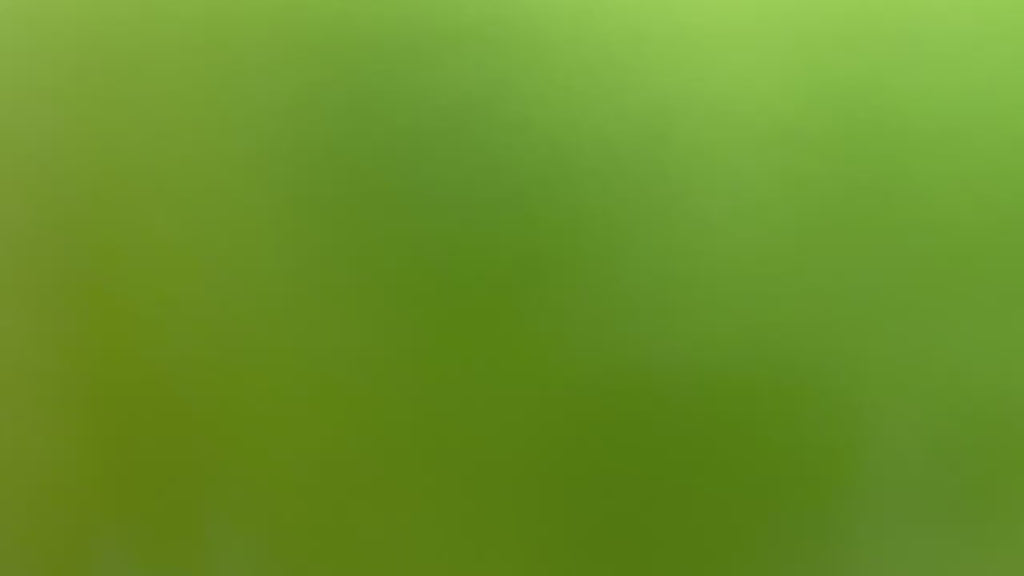 2016-2024 Toyota Tacoma Painted Hood Conversion (TRD Hood Conversion) Electric Lime Effect (588) ReveMoto Painted Auto Parts Replacement