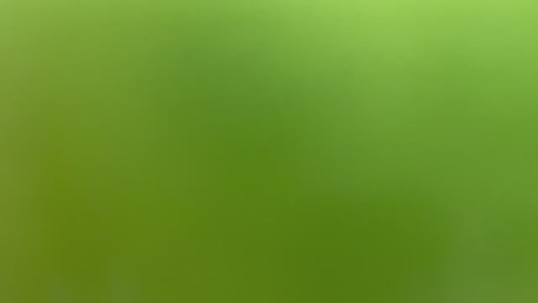 2016-2024 Toyota Tacoma Painted Hood Conversion (TRD Hood Conversion) Electric Lime Effect (588) ReveMoto Painted Auto Parts Replacement