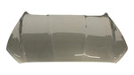 2013-2020 Ford Fusion Hood Painted Tectonic Silver Metallic (HI) DS7Z16612B FO1230301
