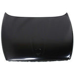 1998-2003 Dodge Durango Hood - CH1230198