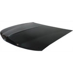 2000-2002 Lincoln Town Car Hood - FO1230191