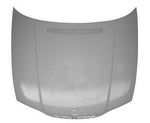 2002 BMW 330xi Hood Painted