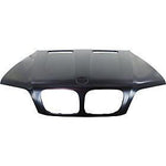2000-2003 BMW X5 Hood; BM1230114; 41617008328