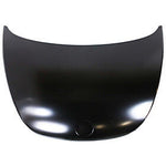 2000-2005 Volkswagen Beetle Hood - VW1230125