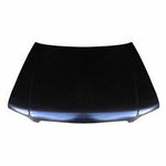 2001-2002 Subaru Forester Hood (w-o Air Holes) SU1230116