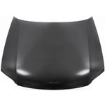 2001-2005 Volkswagen Passat Hood (New Style) - VW1230130