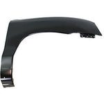 2001-2006 Hyundai Santa Fe Passenger Side Fender (GLS-Limited-LX Models; w- Rocker Moulding Holes) HY1241119
