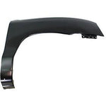 2001-2006 Hyundai Santa Fe Passenger Side Fender (GLS-Limited-LX Models; w- Rocker Moulding Holes) HY1241119