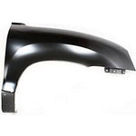 2001-2006 Hyundai Santa Fe Passenger Side Fender (GLS-Limited-LX Models; w- Rocker Moulding Holes) HY1241119
