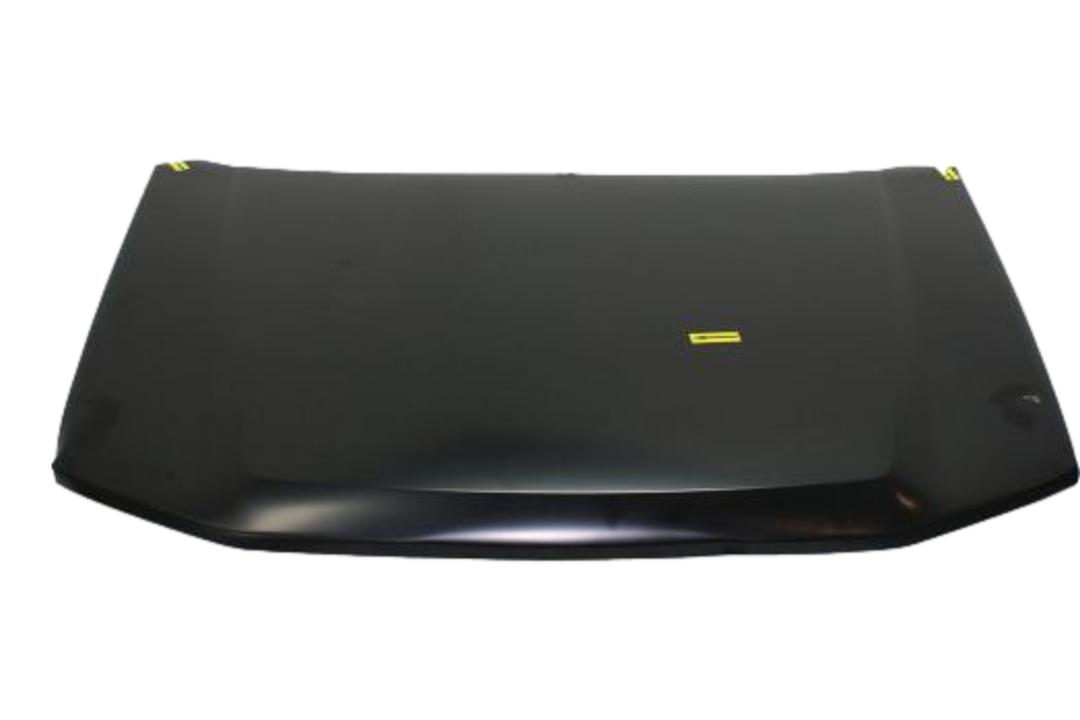 2002-2009 Chevrolet Trailblazer Hood_12478013_GM1230264