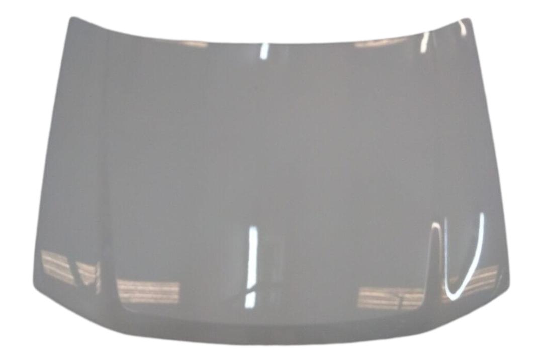 2002-2009 Chevrolet Trailblazer Hood Painted_WA8624_12478013_GM1230264