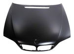 2002 BMW 325Xi Hood Painted_41617042893