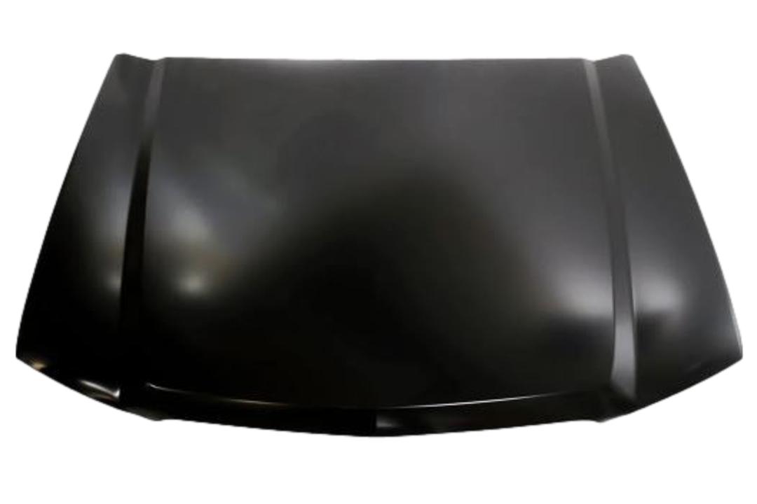 2010 Chevrolet Aveo Hood Painted