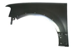 2003-2006-Ford-Expedition-Fender-Painted-Left-Driver-Side-2L1Z16006DA