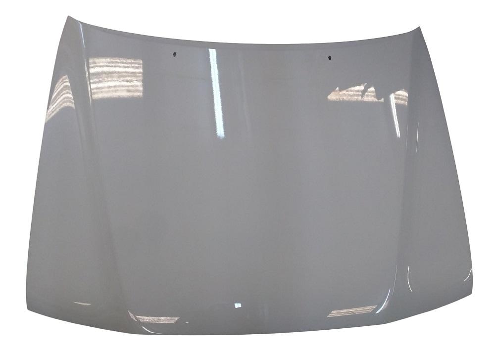 2001 Toyota Tacoma Hood Painted