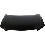 2004-2006 Mazda MPV Hood; MA1230161; LEY35231XA