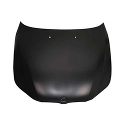 2004-2010 BMW 5Series Hood; Sedan/Wagon; Made of Steel; BM1230125; 41617111385-PFM
