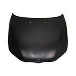 2004-2010 BMW 5Series Hood; Sedan/Wagon; Made of Steel; BM1230125; 41617111385-PFM