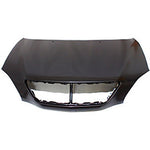 2007-2009 Lexus RX350 Hood; NOZZLE-[FOR RX350 JAPAN BUILT USE 85381-0E020; FOR USA BUILT USE 85381-0E010]; LX1230104; 533010E020